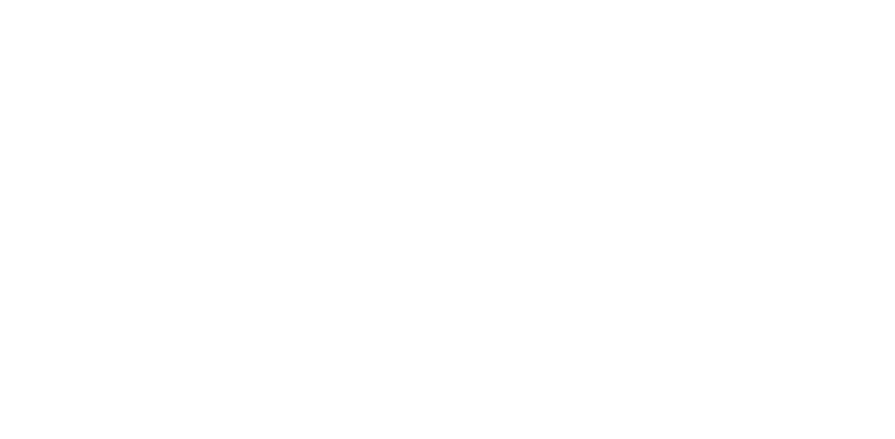 Desarrollo País logo